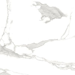 PIASTR. STATUARIO SUPER POLISHED 120X120