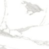 PIASTR. STATUARIO SUPER POLISHED 120X120