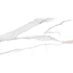 PIASTR. SWAN SATVARIO 60X120