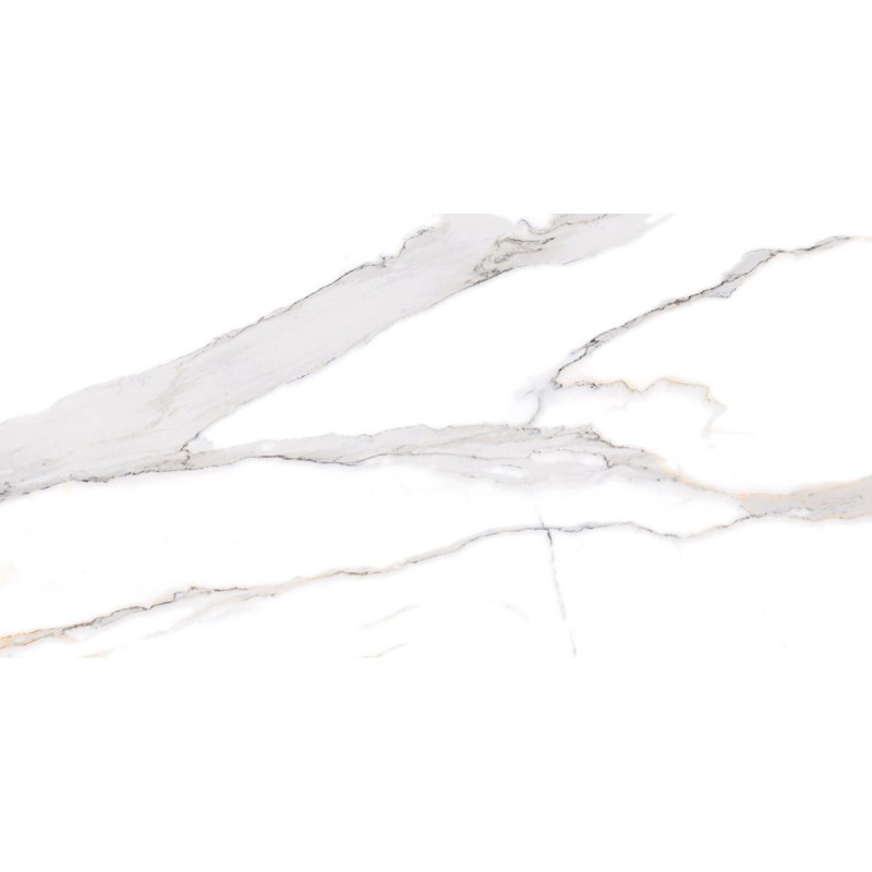 PIASTR. SWAN SATVARIO 60X120