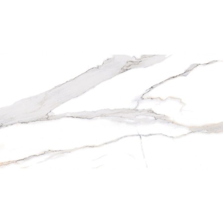 PIASTR. SWAN SATVARIO 60X120