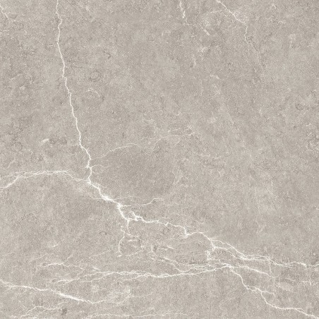 PIASTR. NIVAL GRIS MATE 60,5X60,5