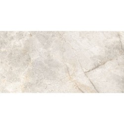 PIASTR. RAMON GREY 60X120