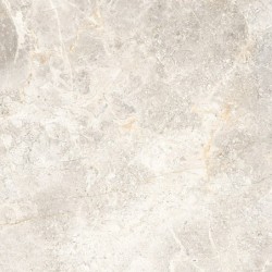 PIASTR. RAMON GREY 60X60