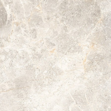 PIASTR. RAMON GREY 60X60