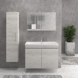 BASE NEW SAVA 100 CON 2 PORTE 8902