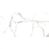 PIASTR. CALACATA CENTURY POLISHED 60X120